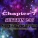 Chapter 7 Section 296